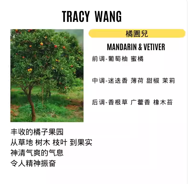 Handcrafted Soy Wax Scented Candle – Essential Oil Relaxation Candle for Bedroom & Gift by TRACY WANG