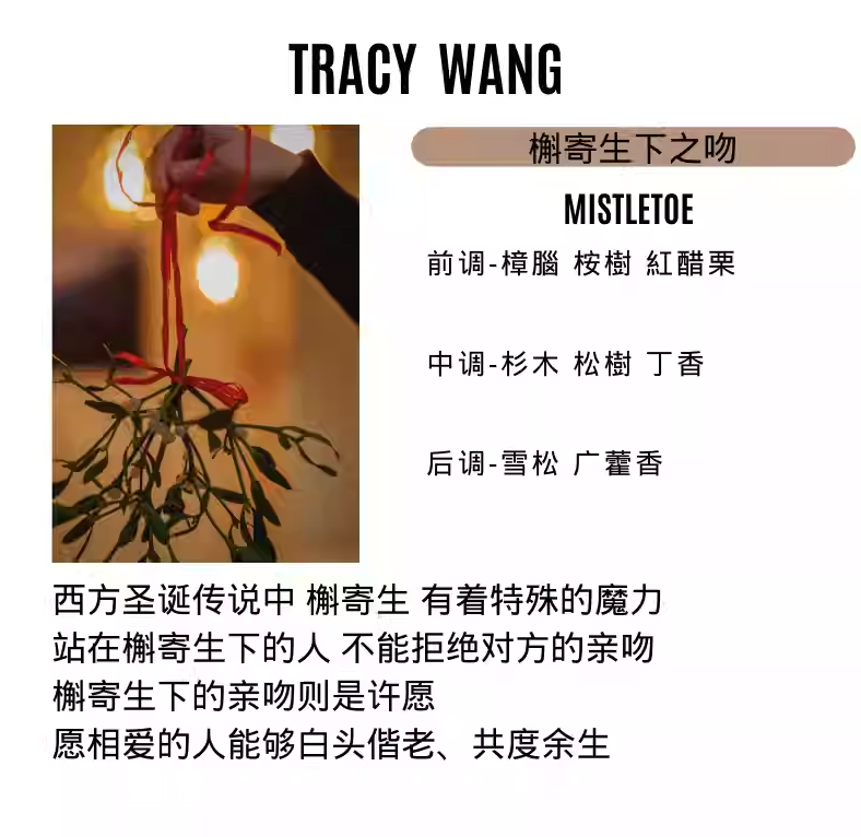 Handcrafted Soy Wax Scented Candle – Essential Oil Relaxation Candle for Bedroom & Gift by TRACY WANG