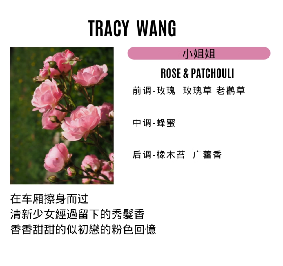 TRACY WANG Travel Scented Candle Set – Natural Soy & Coconut Wax Mini Candle Gift for Relaxation and Sleep