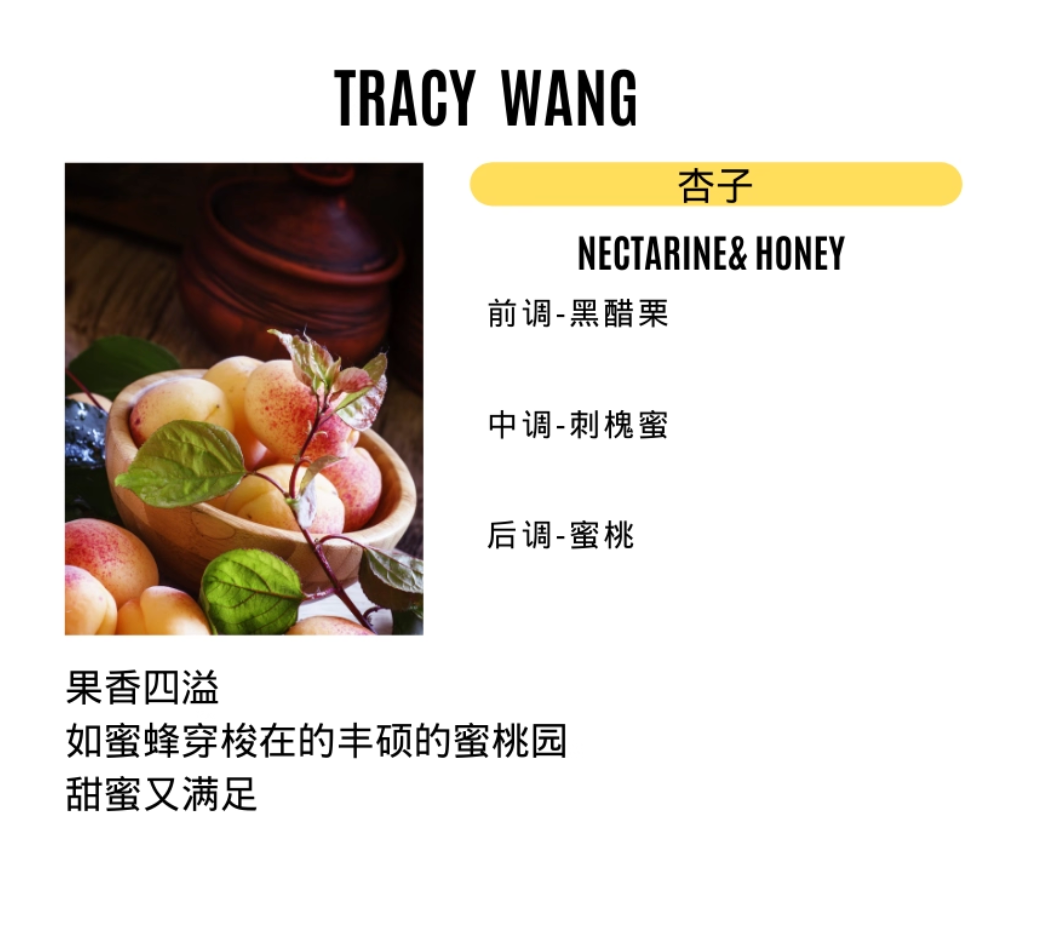 TRACY WANG Travel Scented Candle Set – Natural Soy & Coconut Wax Mini Candle Gift for Relaxation and Sleep