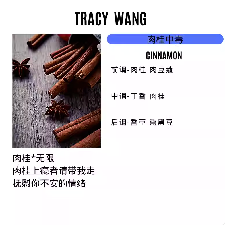 Handcrafted Soy Wax Scented Candle – Essential Oil Relaxation Candle for Bedroom & Gift by TRACY WANG