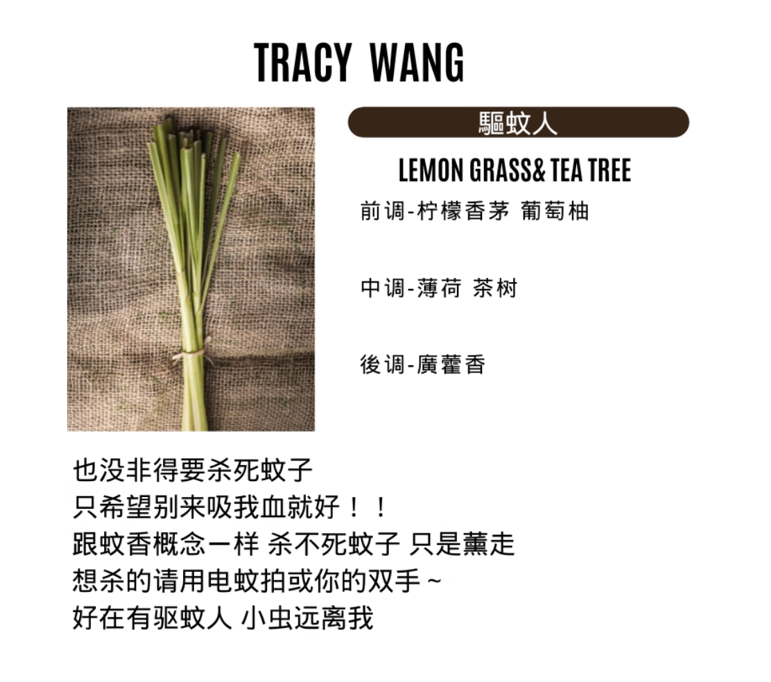 TRACY WANG Outdoor Citronella Soy Candle – 340ml Handmade Natural Scented Candle for Balcony, Patio & Camping