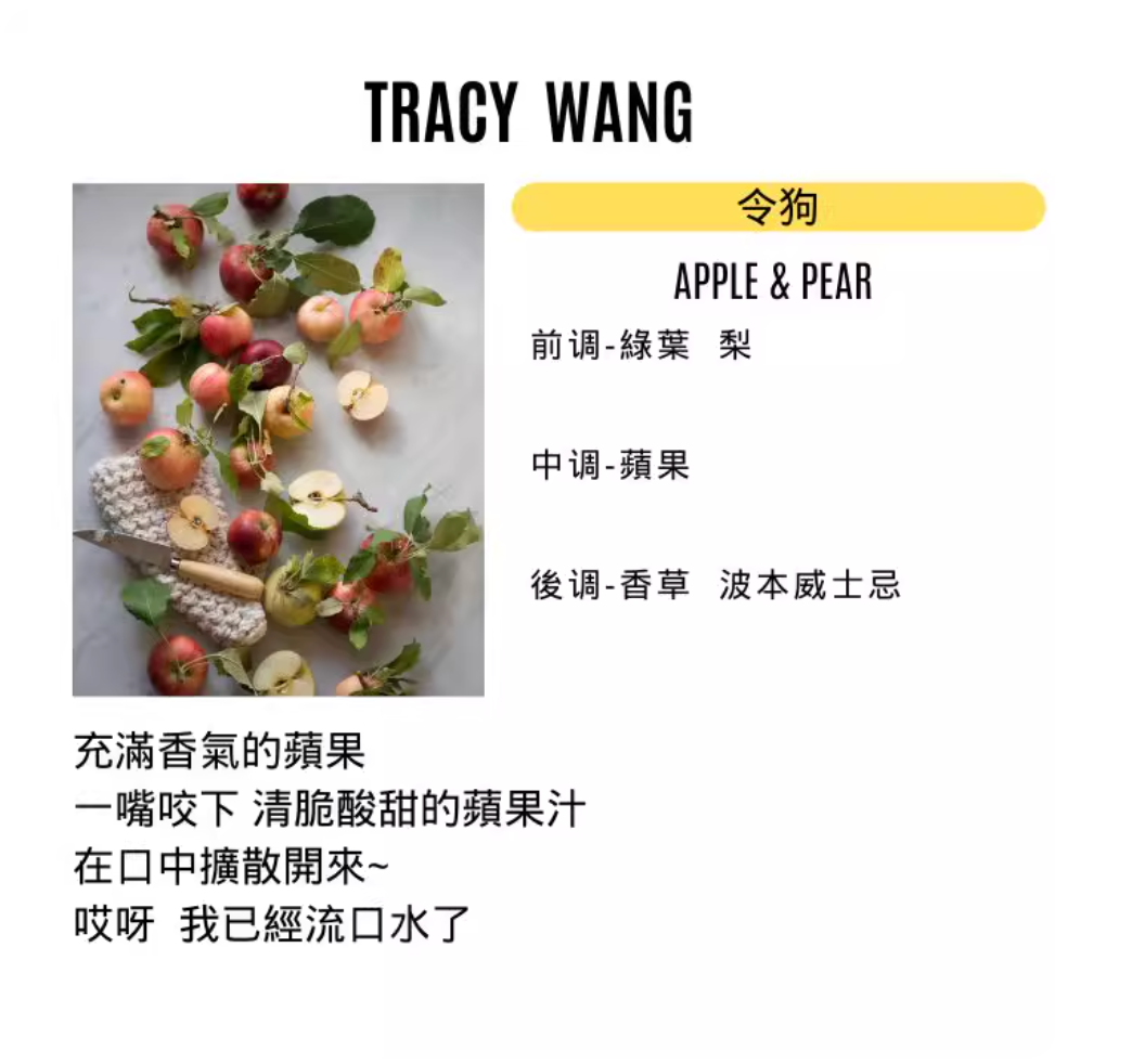 TRACY WANG Travel Scented Candle Set – Natural Soy & Coconut Wax Mini Candle Gift for Relaxation and Sleep