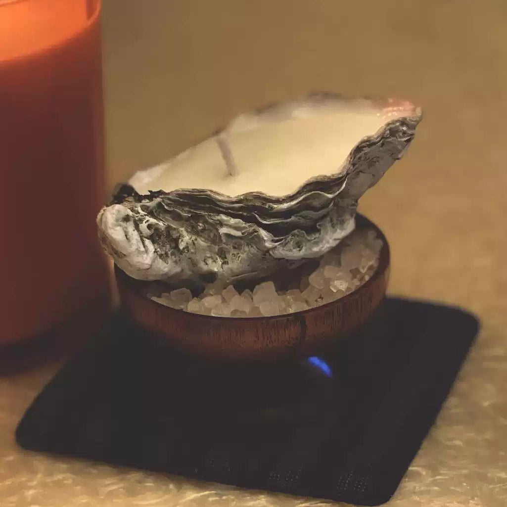 TRACY WANG Artisan Oyster Shell Candle – Natural Soy & Coconut Wax Hand-Poured Gift Candle with Matches & Cloth Bag