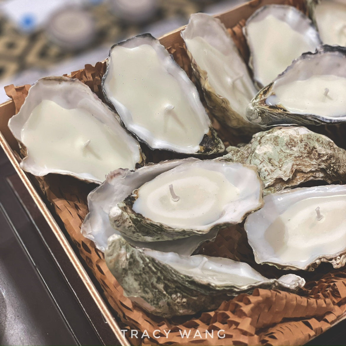 TRACY WANG Artisan Oyster Shell Candle – Natural Soy & Coconut Wax Hand-Poured Gift Candle with Matches & Cloth Bag