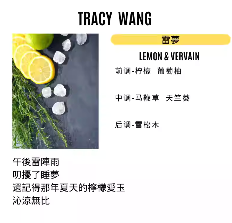 TRACY WANG Travel Scented Candle Set – Natural Soy & Coconut Wax Mini Candle Gift for Relaxation and Sleep