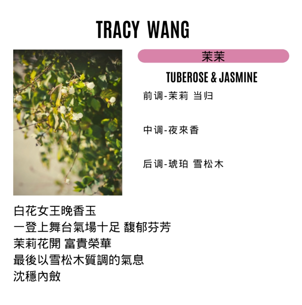 TRACY WANG Travel Scented Candle Set – Natural Soy & Coconut Wax Mini Candle Gift for Relaxation and Sleep