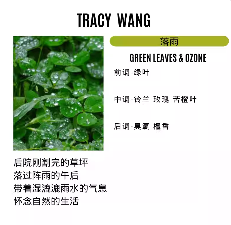 Handcrafted Soy Wax Scented Candle – Essential Oil Relaxation Candle for Bedroom & Gift by TRACY WANG