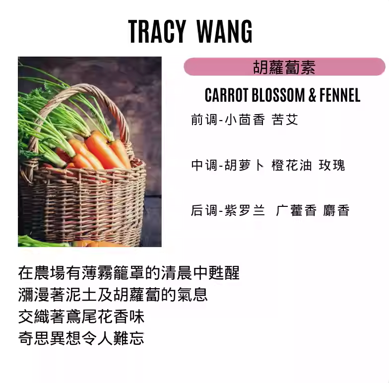 TRACY WANG Travel Scented Candle Set – Natural Soy & Coconut Wax Mini Candle Gift for Relaxation and Sleep