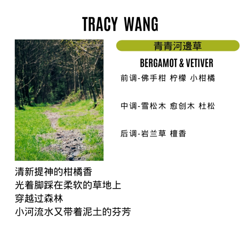 TRACY WANG Travel Scented Candle Set – Natural Soy & Coconut Wax Mini Candle Gift for Relaxation and Sleep